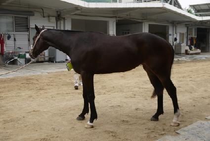 û������ ����