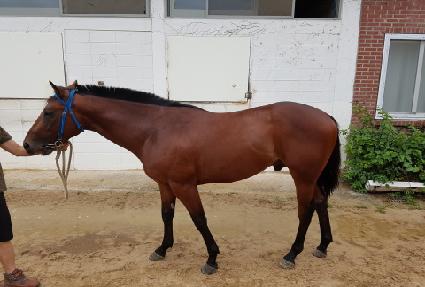 �����ѱ� ����