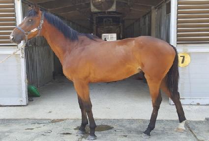 �����̺��� ����