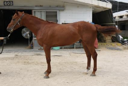 ���ǵ念�� ����