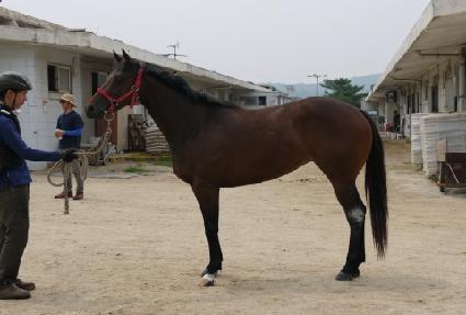 �������� ����