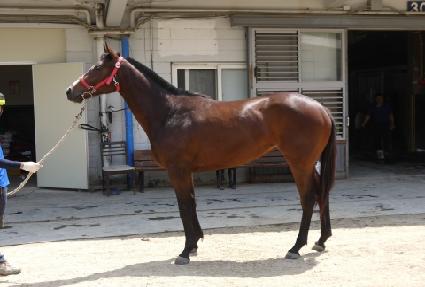 û����̾� ����