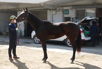 ��Ʈ���� ����