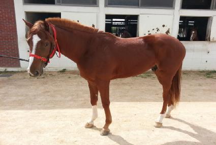 ������� ����