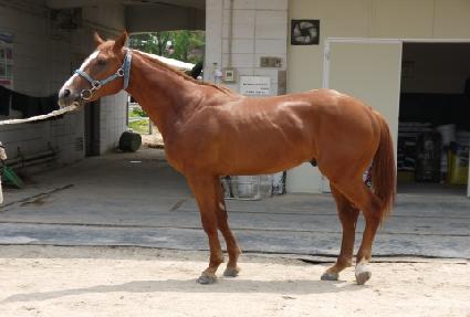 ��Ű���̽� ����