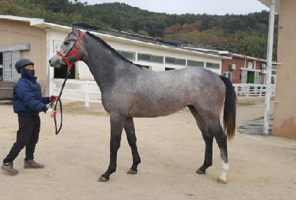 ����̾���ũ ����