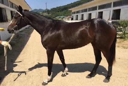 ������ ����