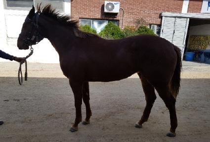 ���ƿ¿��� ����