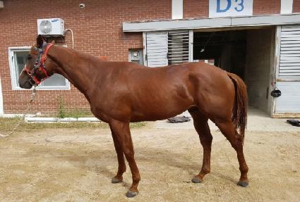 �׷���Ʈ�� ����