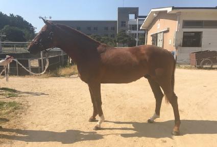 �����Ǽ��� ����