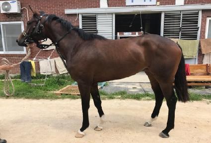 �÷��ù̽� ����