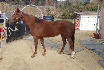 ġ������ ����