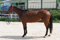 �ƿ������ (AURA WINNER) ����