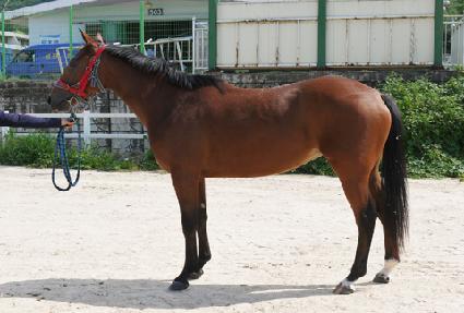 �ƿ������ ����