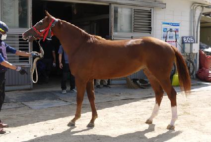 �н�Ƽ��Ʈ ����