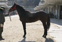 û�� (CHEONG GONG) ����