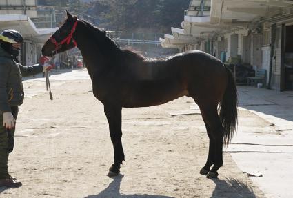 û�� ����