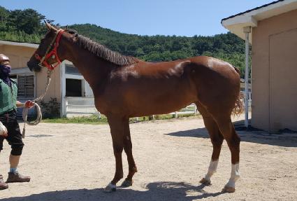 ������Ÿ�� ����