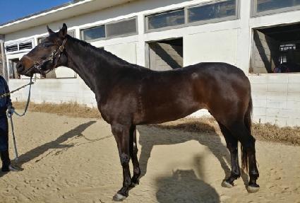 ���̽����� ����