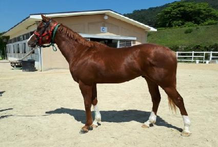 ���弱 ����