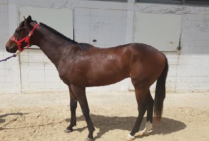 ���̺����̵� ����