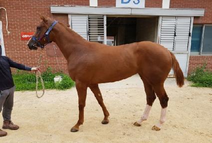 ���̳��Ͷ��� ����