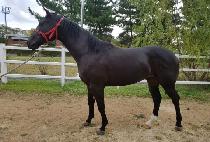 ������̸� (SEONGSAN SIMON) ����