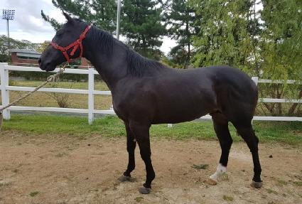 ������̸� ����