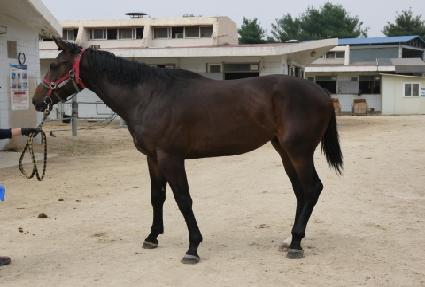 ������¾� ����