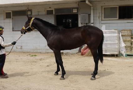 ��������� ����