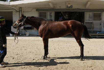 �ǽ��������� ����