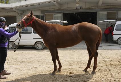 �����̽ʻ� ����