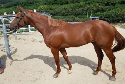 ������� ����