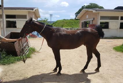 ���׾���� ����