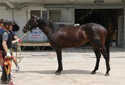 ��Ű�̽� ����