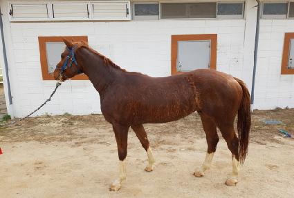 �����Ŀ� ����