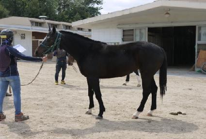 �ε��� ����