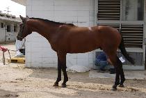 ����ŷ (MYEONGJIN KING) ����