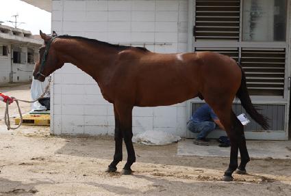 ����ŷ ����