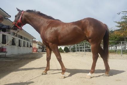 ���극�� ����