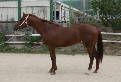 ���̾����� ����