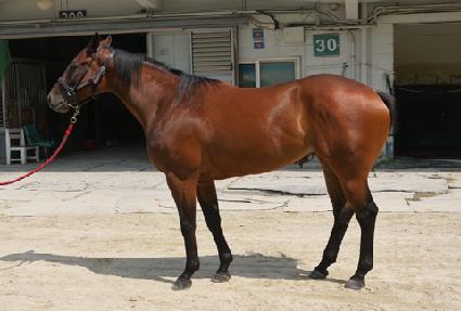 ������ ����