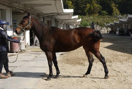 ���� ����