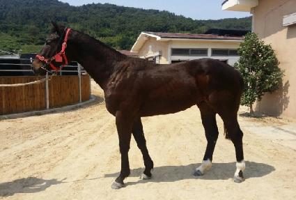 ���̽�Ÿ ����