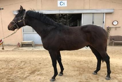 ���ȯȣ ����