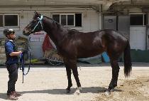 �̽������� (MISS N LINE) ����