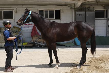 �̽������� ����