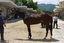 �������� (OPI WINTER) ����