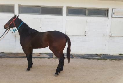 Ȳ������ ����