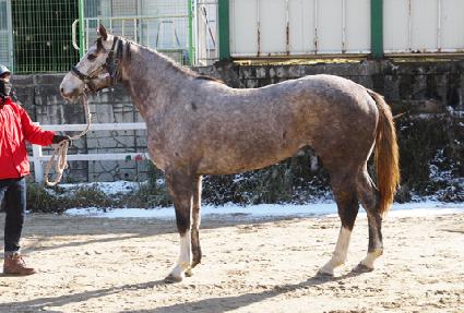 �񺸰��� ����